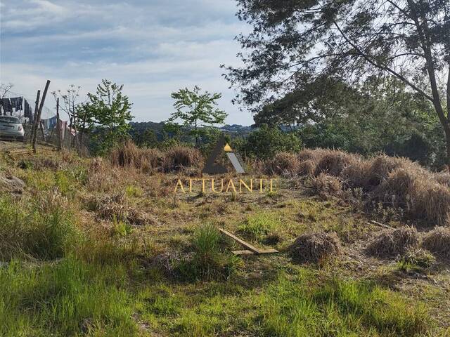 #TR4790 - Terreno para Venda em Caxias do Sul - RS - 1