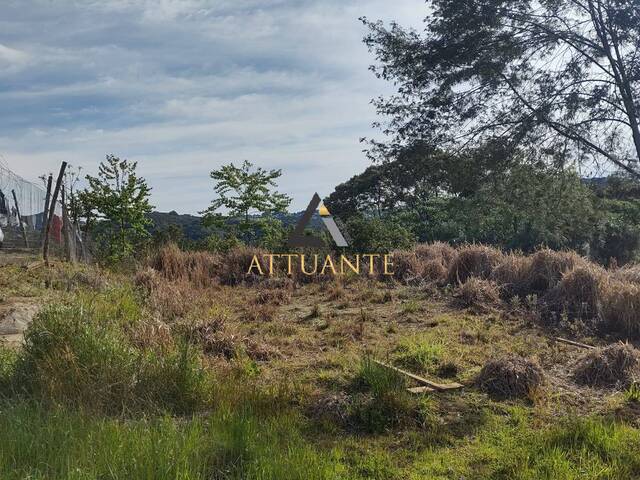 Terreno para Venda em Caxias do Sul - 4