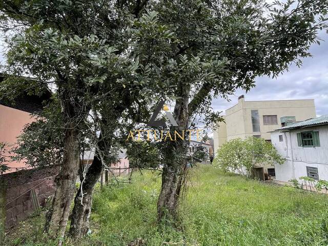 #TR4825 - Área para Venda em Caxias do Sul - RS - 2