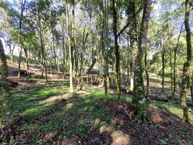 #TR4830 - Área para Venda em Caxias do Sul - RS - 2