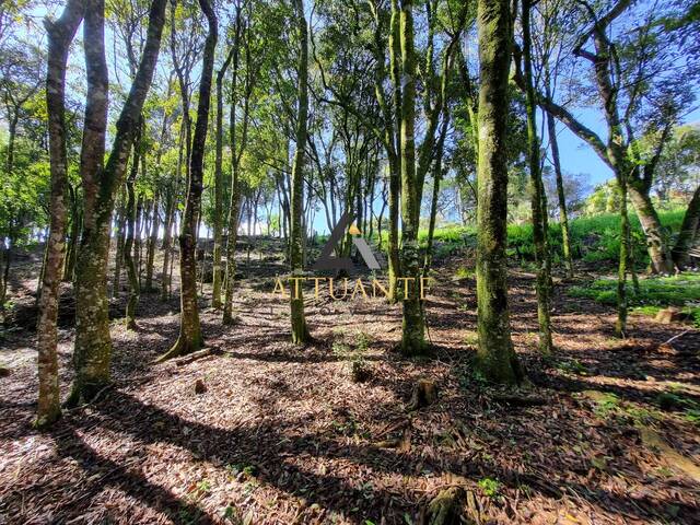 Terreno para Venda em Caxias do Sul - 4