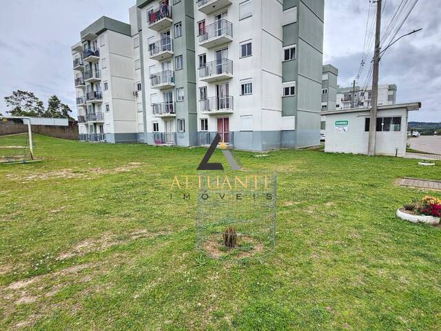 Venda em Belo Horizonte - Caxias do Sul