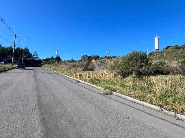 Venda em São Luiz - Caxias do Sul