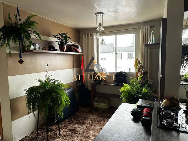 Apartamento para Venda em Caxias do Sul - 5