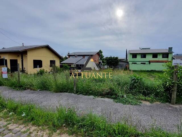 #TR4891 - Área para Venda em Caxias do Sul - RS - 2