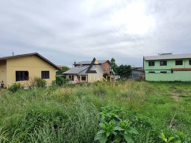 Área para Venda em Caxias do Sul - 4