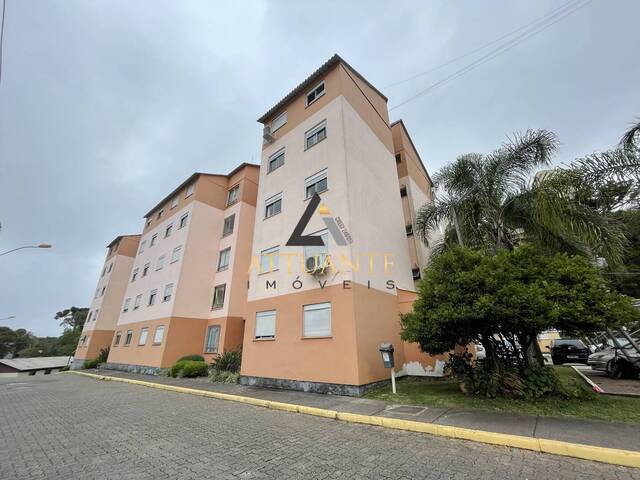 #AP4919 - Apartamento para Venda em Caxias do Sul - RS - 1