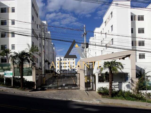 #AP4920 - Apartamento para Venda em Caxias do Sul - RS - 1