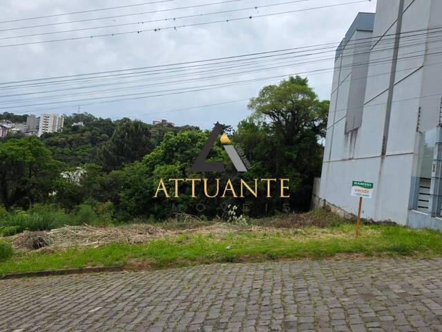 #TR4936 - Área para Venda em Caxias do Sul - RS - 3