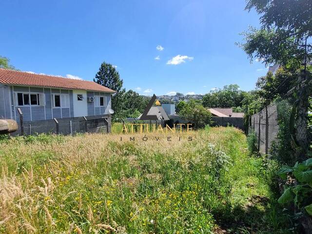 Área para Venda em Caxias do Sul - 4
