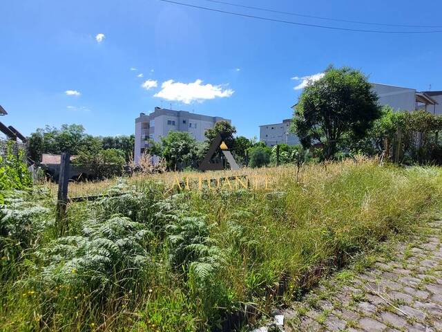 Área para Venda em Caxias do Sul - 5