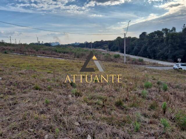 #TR4971 - Área para Venda em Caxias do Sul - RS - 3