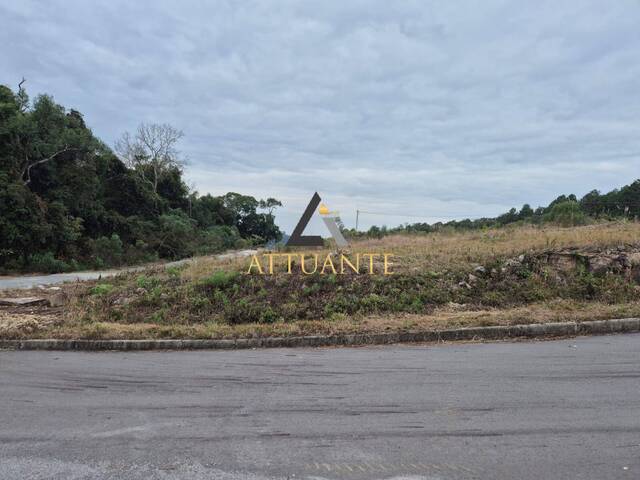 #TR4971 - Área para Venda em Caxias do Sul - RS - 1