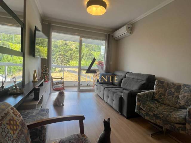 Apartamento para Venda em Caxias do Sul - 4