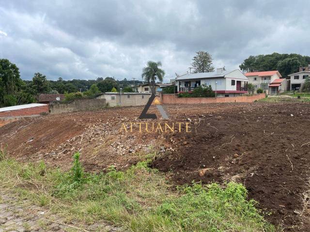 #TR5034 - Área para Venda em Caxias do Sul - RS - 2