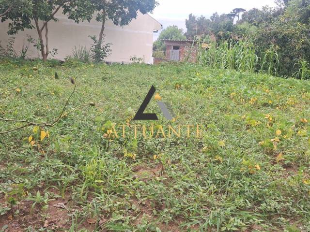 #TR5036 - Área para Venda em Caxias do Sul - RS - 3