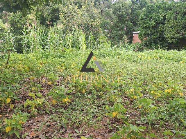 Área para Venda em Caxias do Sul - 5