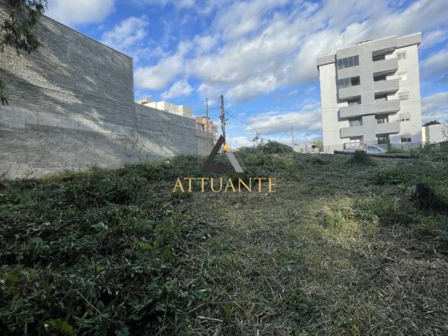 #TR5052 - Área para Venda em Caxias do Sul - RS - 3