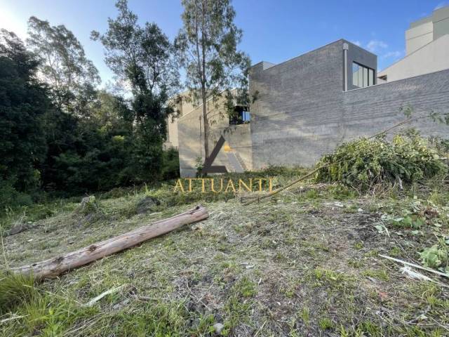 Área para Venda em Caxias do Sul - 4