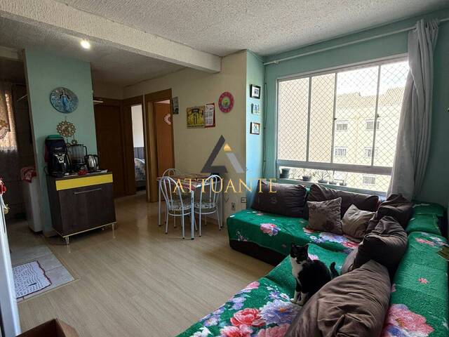 #AP5071 - Apartamento para Venda em Caxias do Sul - RS - 3