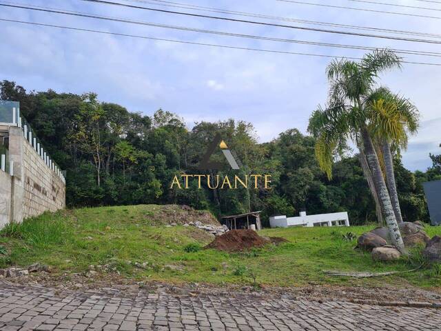 Venda em Vinhedos  - Caxias do Sul