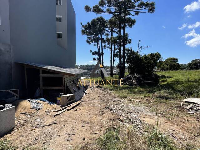 Venda em Vila Verde - Caxias do Sul