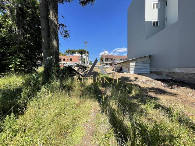 Área para Venda em Caxias do Sul - 4
