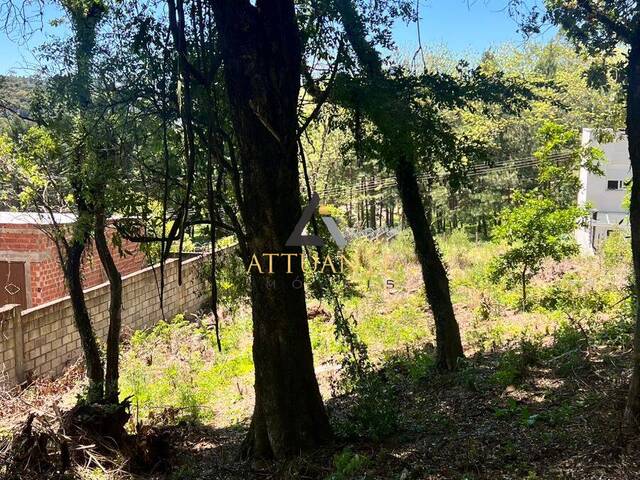 #TR5107 - Área para Venda em Caxias do Sul - RS - 3