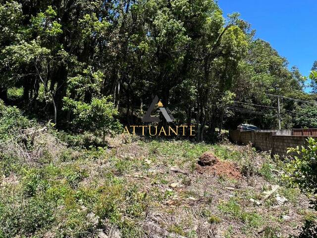 Área para Venda em Caxias do Sul - 4