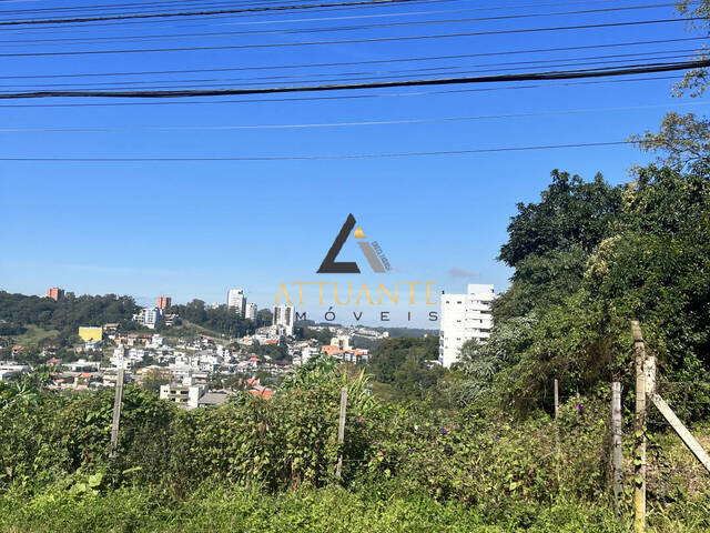 #TR5117 - Área para Venda em Caxias do Sul - RS - 3