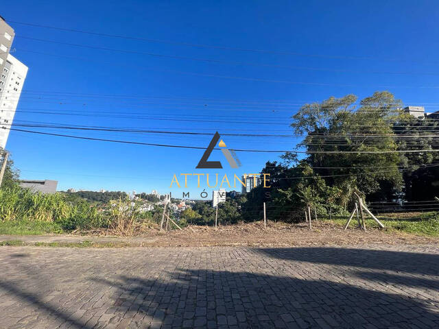 Terreno para Venda em Caxias do Sul - 5