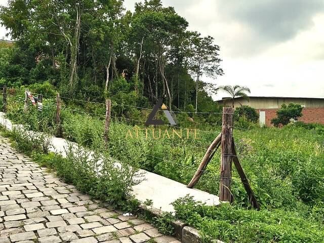 Área para Venda em Caxias do Sul - 4