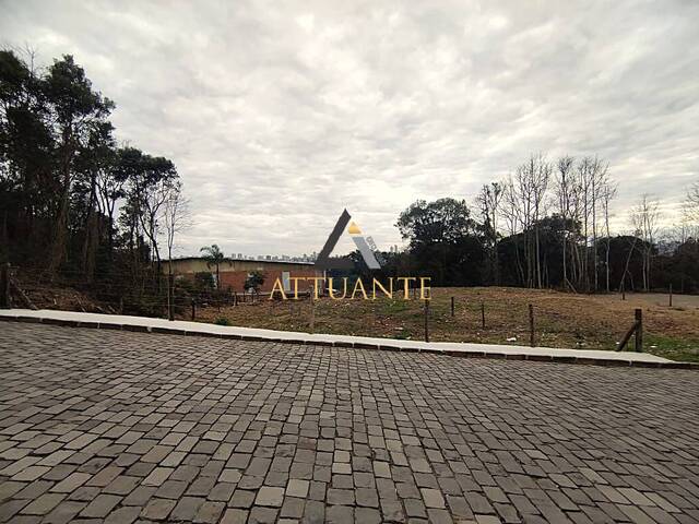 Área para Venda em Caxias do Sul - 5