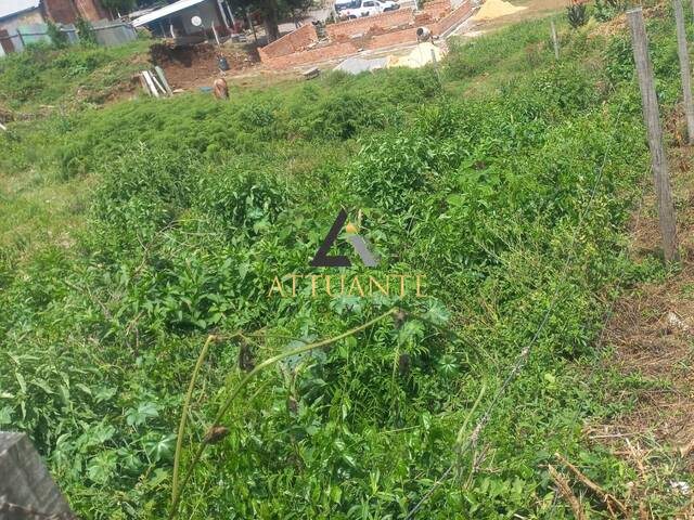 #TR5149 - Área para Venda em Caxias do Sul - RS - 2