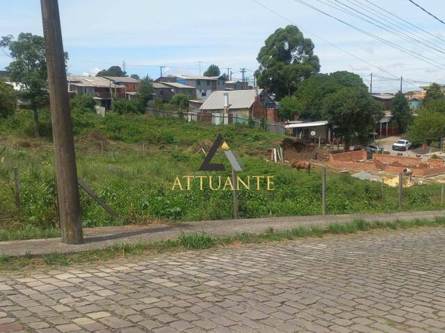 Área para Venda em Caxias do Sul - 5