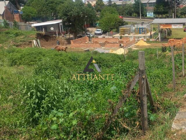 Área para Venda em Caxias do Sul - 4
