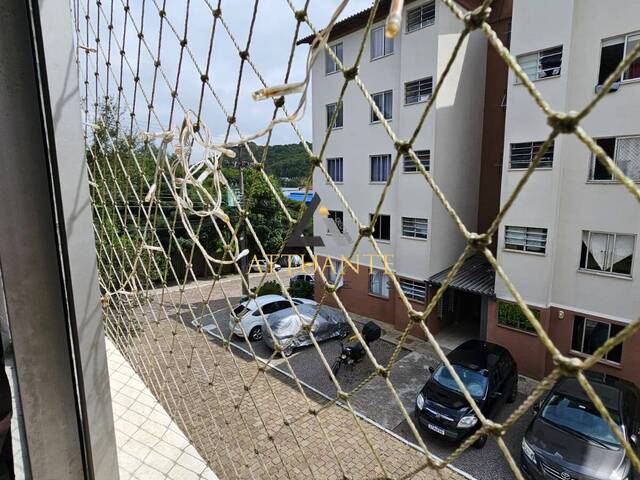 Apartamento para Venda em Caxias do Sul - 4