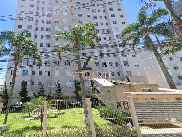 Venda em Nossa Senhora do Rosário - Caxias do Sul