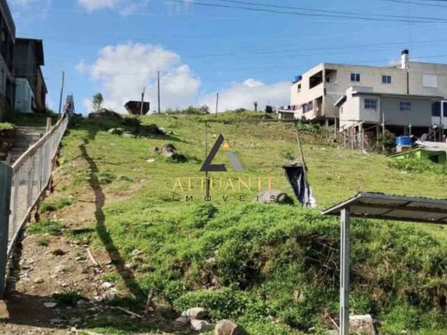 #TR5179 - Área para Venda em Caxias do Sul - RS - 2