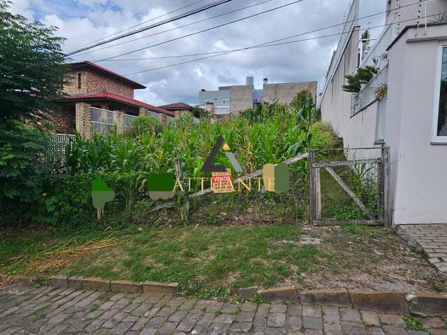 #TR5185 - Área para Venda em Caxias do Sul - RS - 3