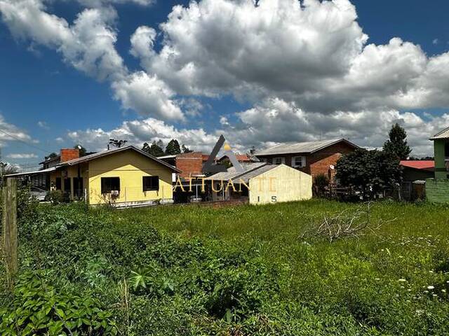 Venda em Desvio Rizzo - Caxias do Sul