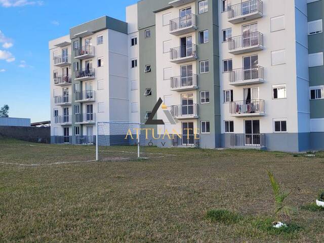 Venda em Belo Horizonte - Caxias do Sul