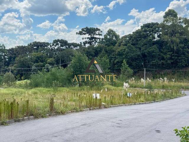 Venda em Nossa Senhora da Saúde  - Caxias do Sul
