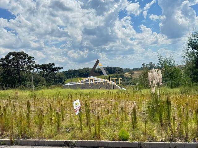 #TR5212 - Área para Venda em Caxias do Sul - RS - 3