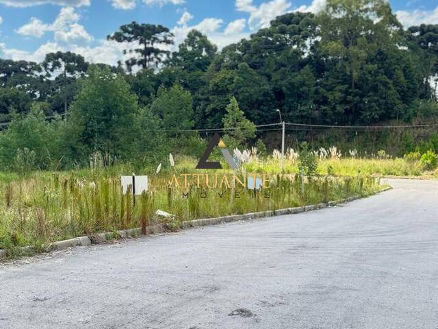 #TR5212 - Área para Venda em Caxias do Sul - RS - 2