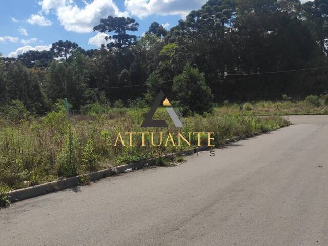 Área para Venda em Caxias do Sul - 5