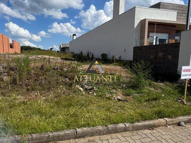 #TR5213 - Área para Venda em Estância Velha - RS - 3