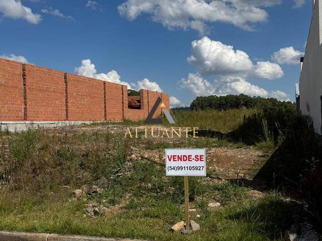 #TR5213 - Área para Venda em Estância Velha - RS - 2