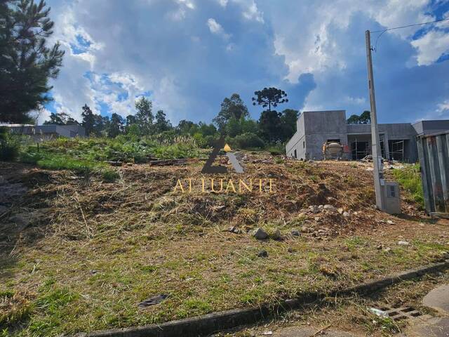 Venda em São Virgílio - Caxias do Sul