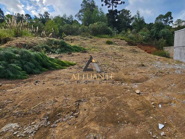 #TR5217 - Área para Venda em Caxias do Sul - RS - 2